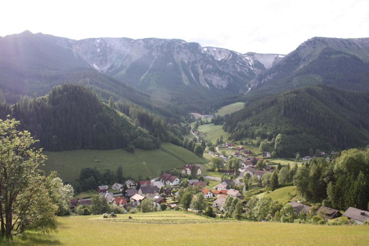 Altenbergerhof Neuberg an der Muerz Ngoại thất bức ảnh